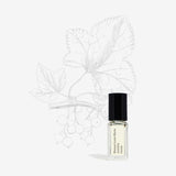 Perfume Oil Mini Antidris Cassis