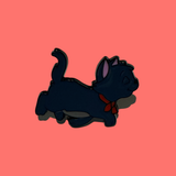 Black Cat Pin