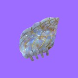 Shell Hair Claw